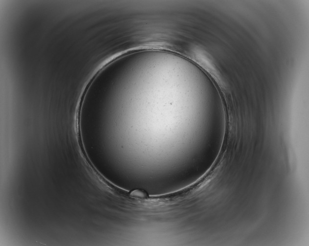 X0000089451436200706151424