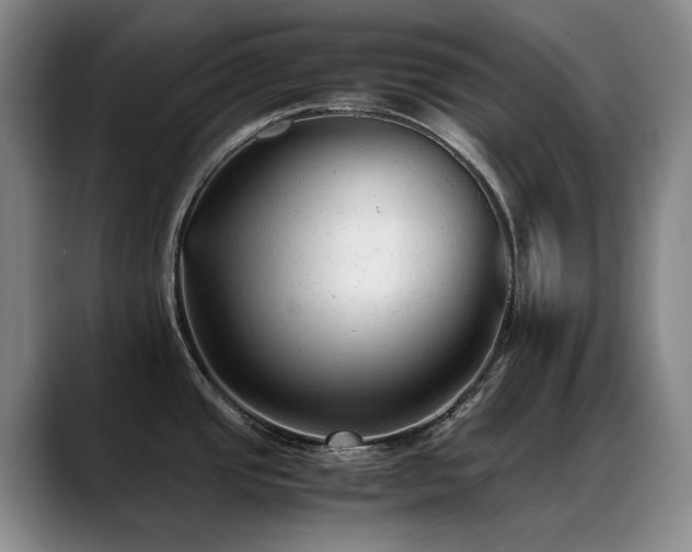 X0000089451437200706151424