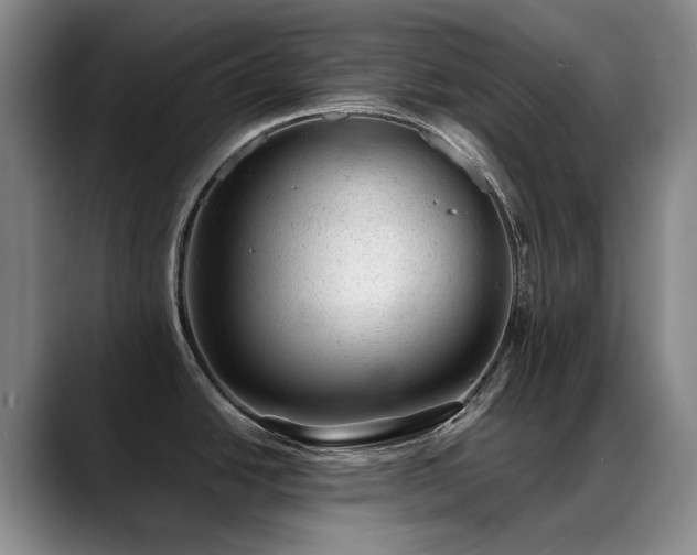 X0000089451438200706151424