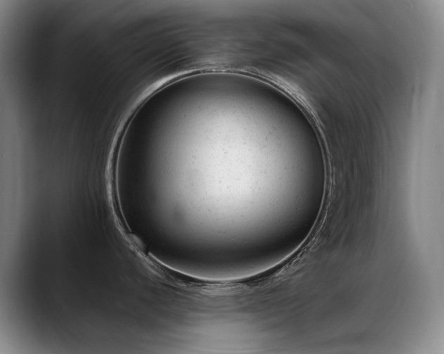 X0000089451440200706151424