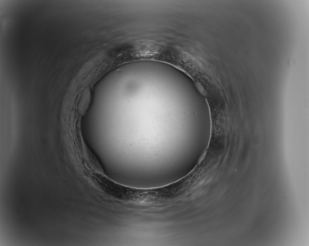 X0000089451441200706151423
