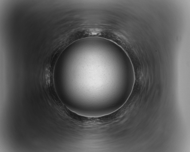 X0000089451442200706151423