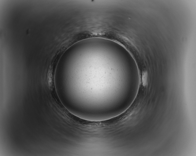 X0000089451444200706151423