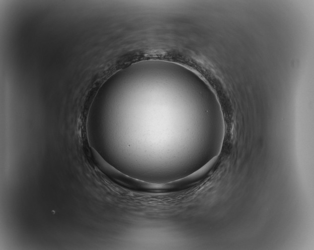 X0000089451445200706151423