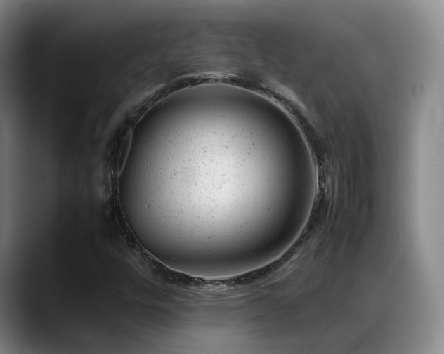 X0000089451448200706151423