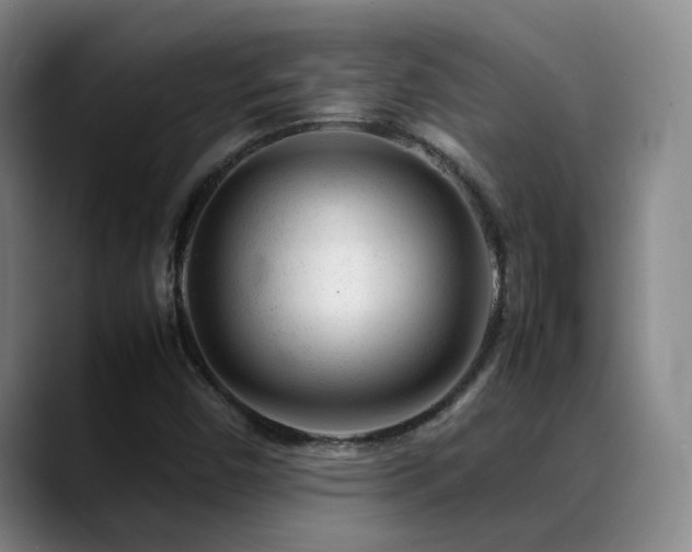 X0000089451450200706151423