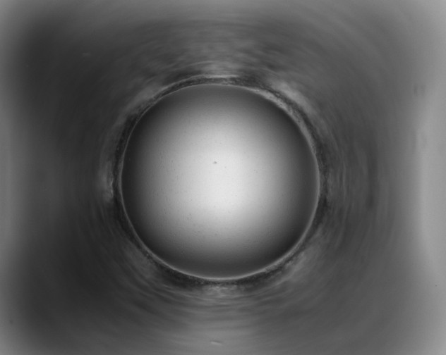 X0000089451451200706151423