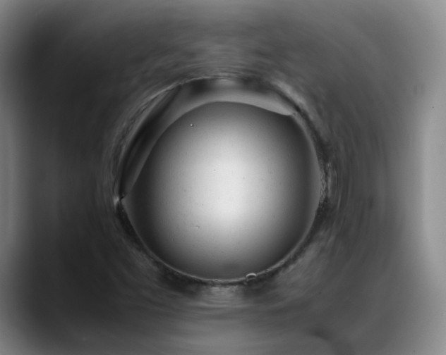 X0000089451453200706151423