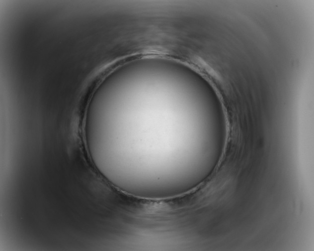X0000089451454200706151423