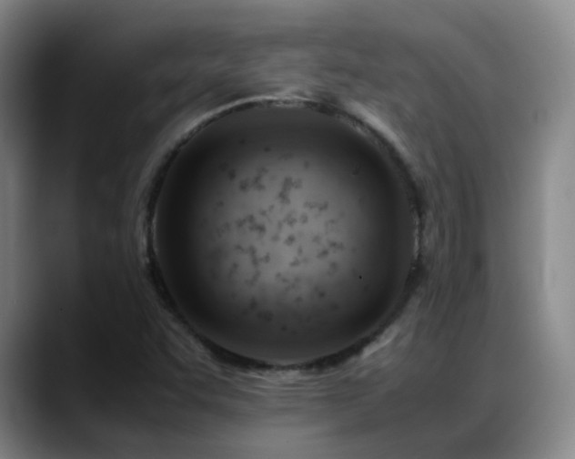 X0000089451455200706151423