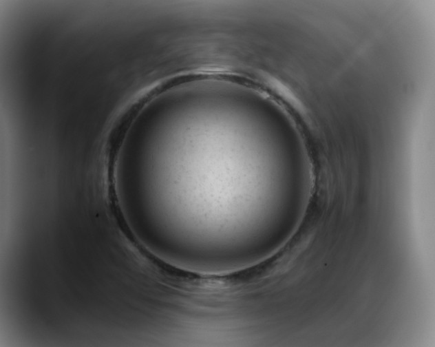 X0000089451456200706151423