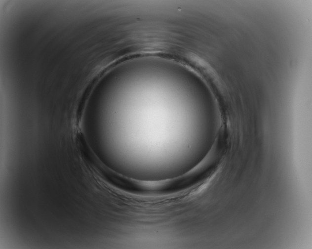X0000089451457200706151423