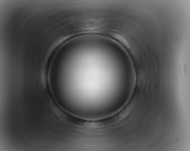 X0000089451458200706151423