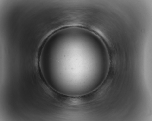 X0000089451460200706151423