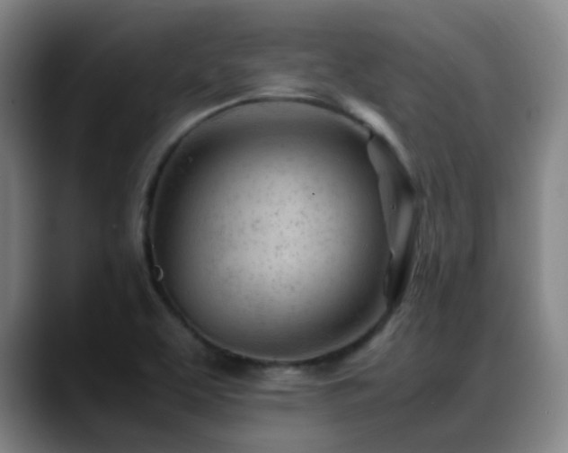 X0000089451463200706151423