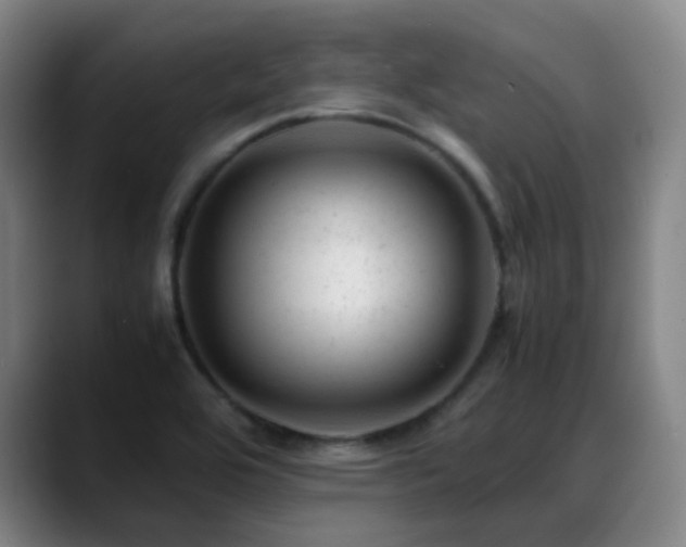 X0000089451464200706151423