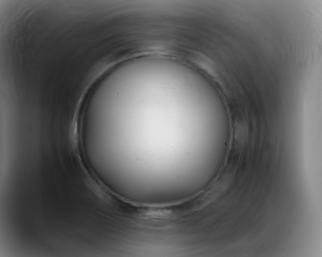 X0000089451466200706151423