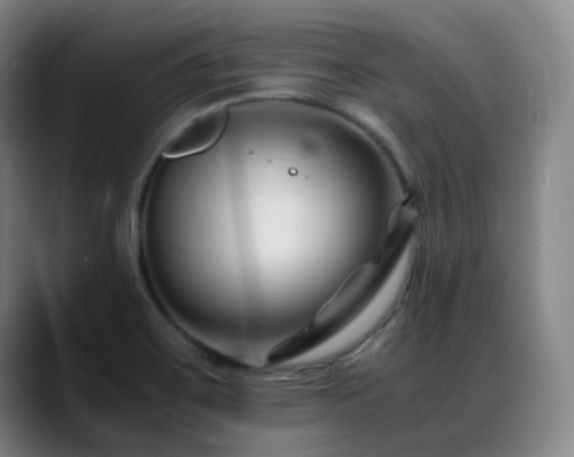 X0000089451467200706151423