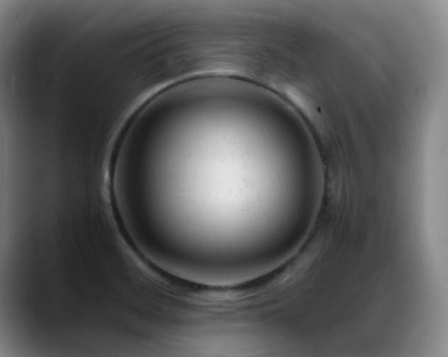 X0000089451468200706151423