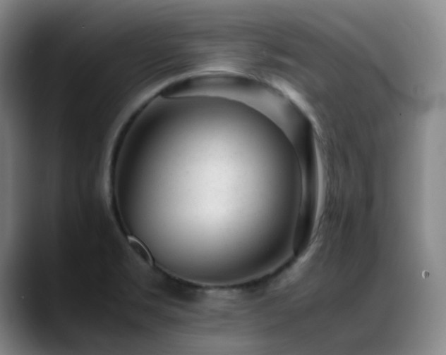 X0000089451469200706151423