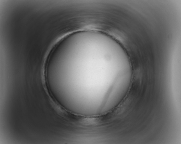 X0000089451470200706151423