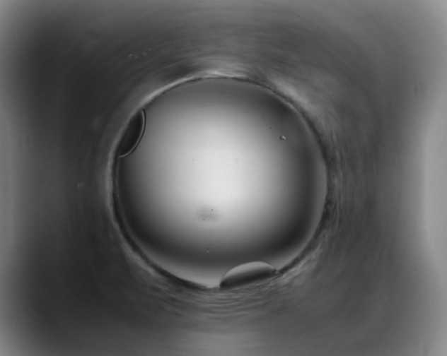 X0000089451471200706151423