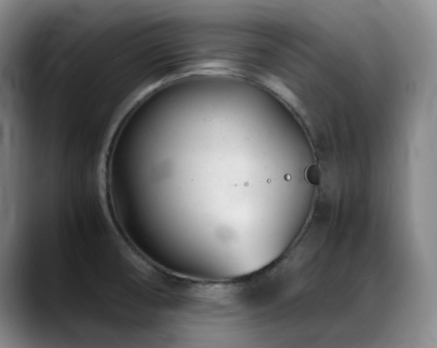 X0000089451474200706151423