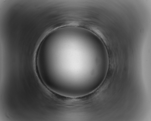 X0000089451475200706151423