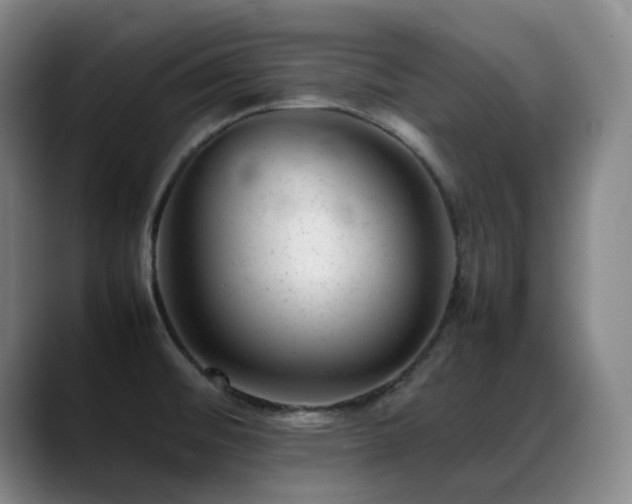 X0000089451476200706151423