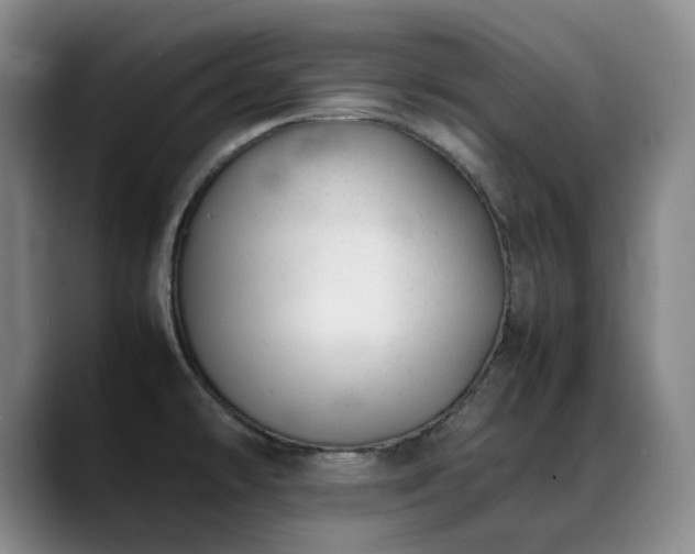 X0000089451478200706151423