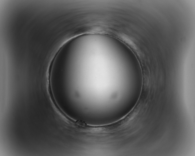 X0000089451479200706151423