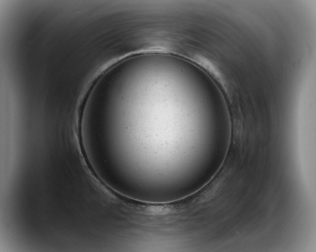 X0000089451480200706151423