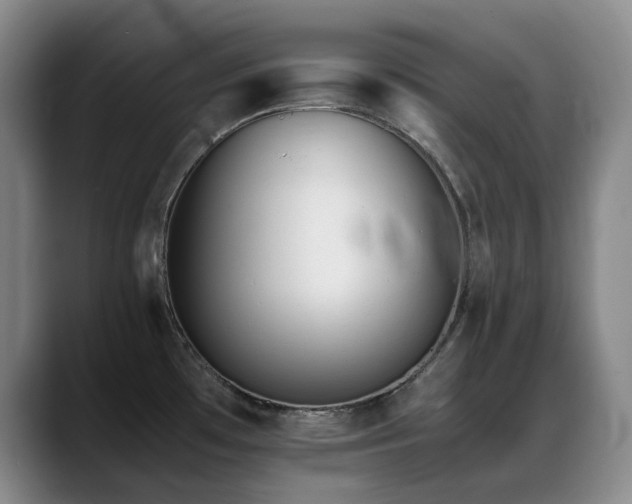 X0000089451481200706151423