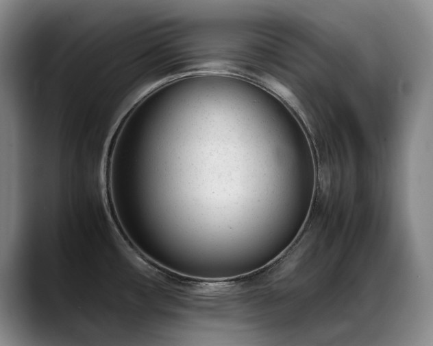 X0000089451482200706151423