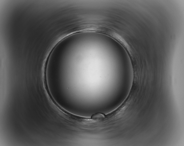 X0000089451483200706151423