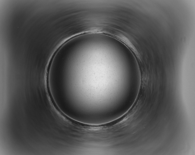 X0000089451484200706151423