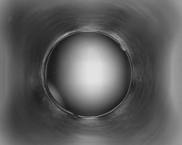 X0000089451486200706151423