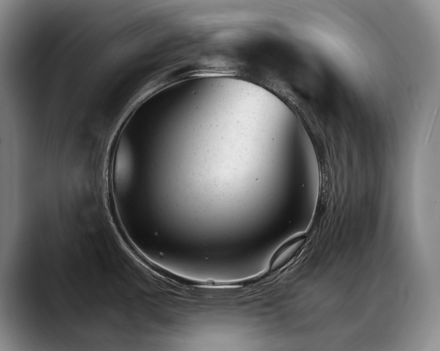 X0000089451487200706151423
