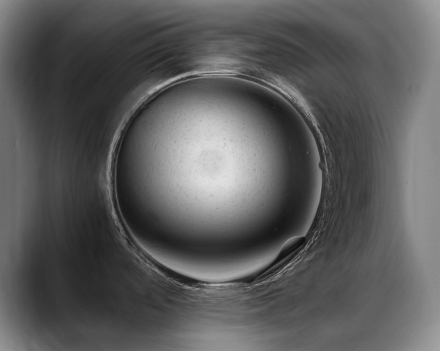 X0000089451488200706151422