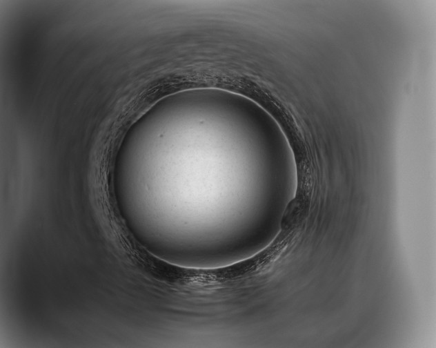 X0000089451489200706151422