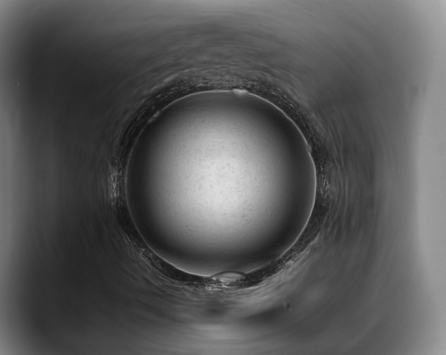 X0000089451490200706151422
