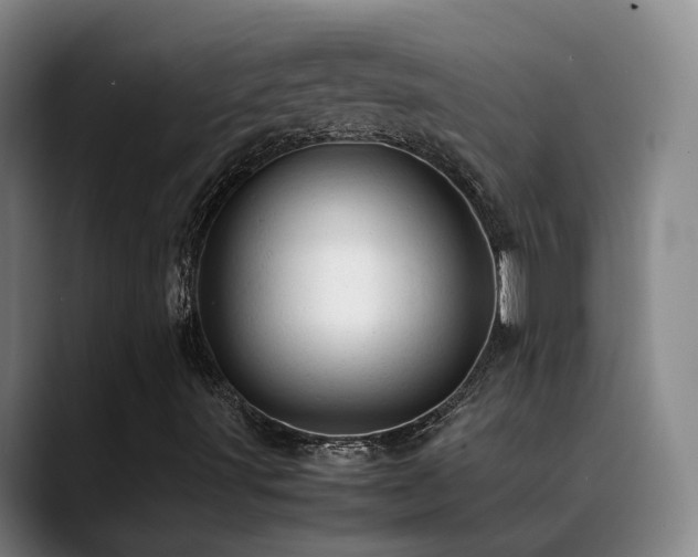 X0000089451491200706151422