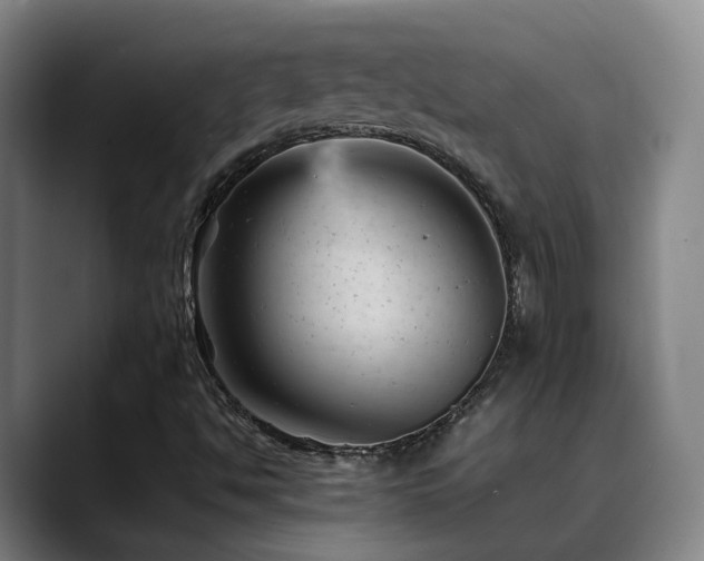 X0000089451494200706151422
