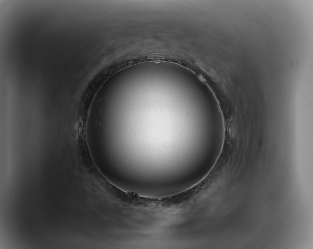 X0000089451495200706151422