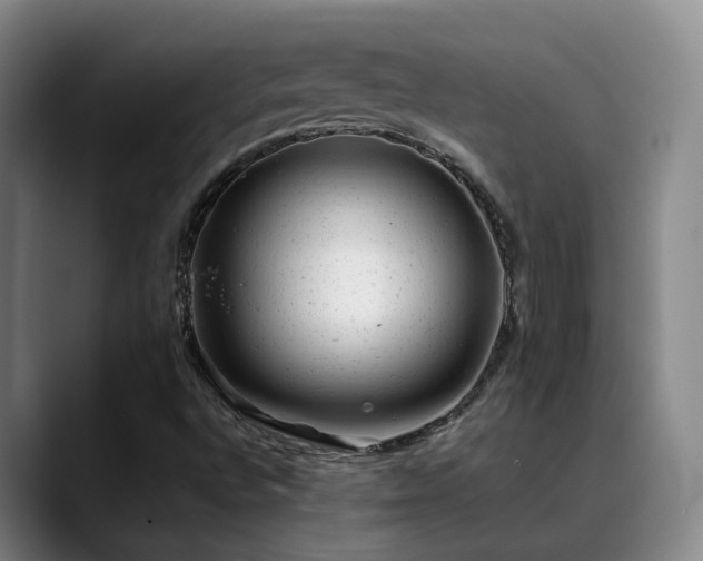 X0000089451496200706151422
