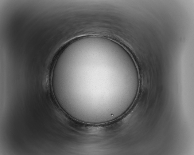 X0000089451498200706151422
