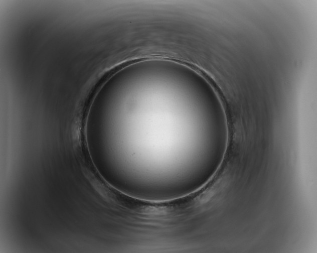 X0000089451499200706151422