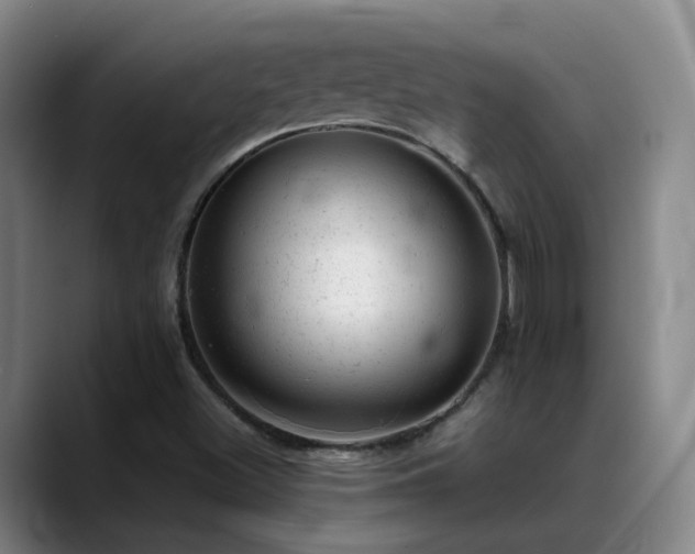 X0000089451500200706151422