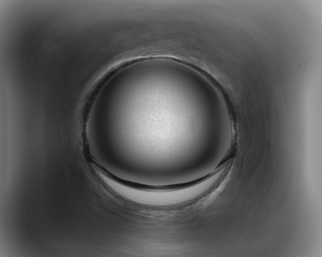 X0000089451502200706151422