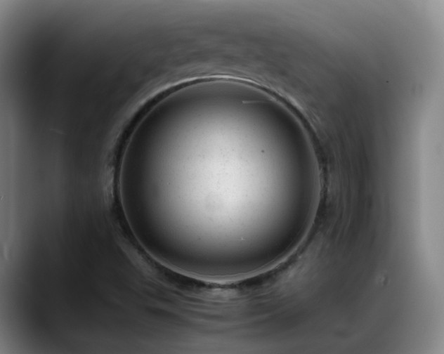 X0000089451503200706151422